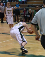 4985 Girls Varsity BBall v Charles Wright 012010