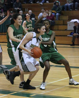 5005 Girls Varsity BBall v Charles Wright 012010