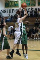 5006 Girls Varsity BBall v Charles Wright 012010