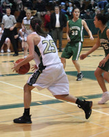 5113 Girls Varsity BBall v Charles Wright 012010