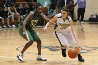 5123 Girls Varsity BBall v Charles Wright 012010