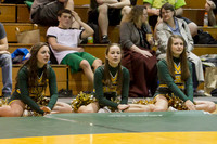 1013 VHS Wrestling at Sub-Regionals 020213