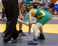 1308 VHS Wrestling at Sub-Regionals 020213