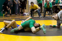 1374 VHS Wrestling at Sub-Regionals 020213